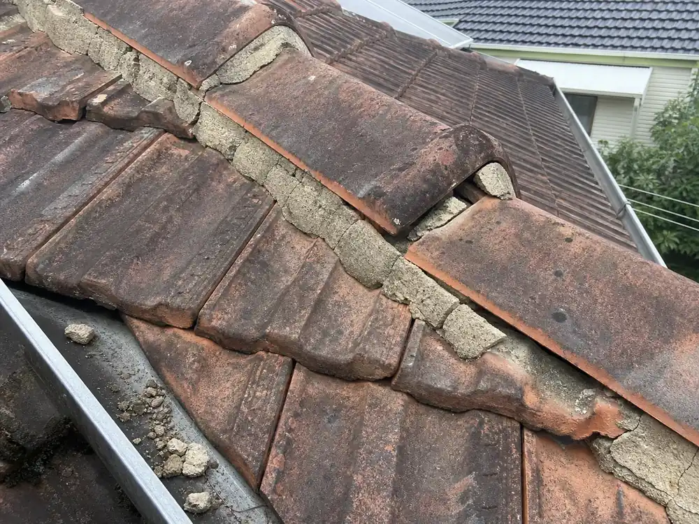 Simulated condition scene showing aged ridge bedding and pointing