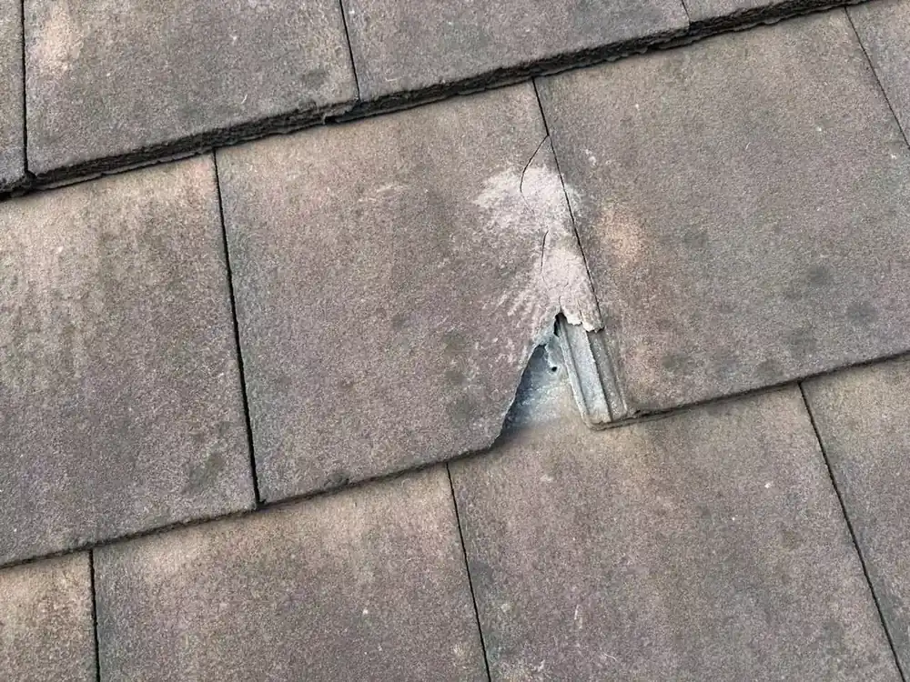 Close photograph of a visibly broken concrete roof tile