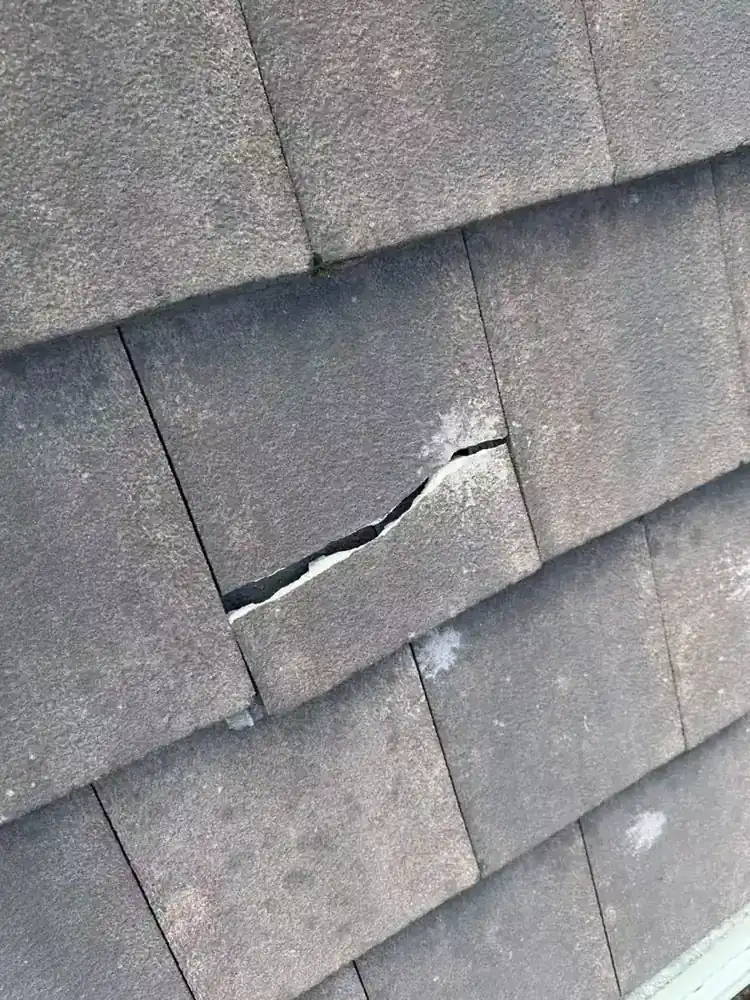 Close photograph of a cracked concrete roof tile