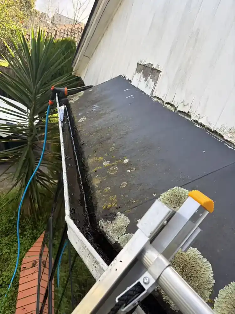 Owner-supplied view of gutter access, debris and roof-edge condition