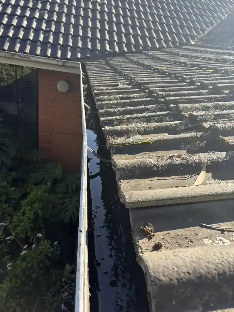 Owner-supplied roof-edge view showing a long gutter section