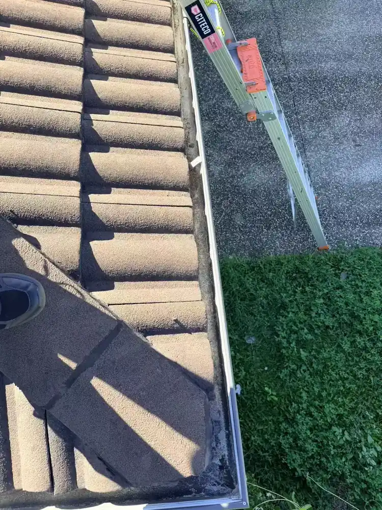 Owner-supplied overview of gutter and roof-edge condition